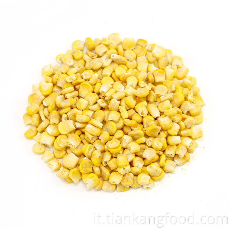 High Quality Dehydrated Corn